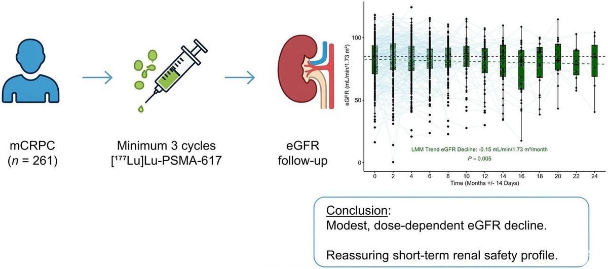 Quantifying the Renal Impact of [177Lu]Lu-PSMA-617: A Longitudinal Analysis of Real-World Data from the LUMEN Registry.的论文原文Figure 1