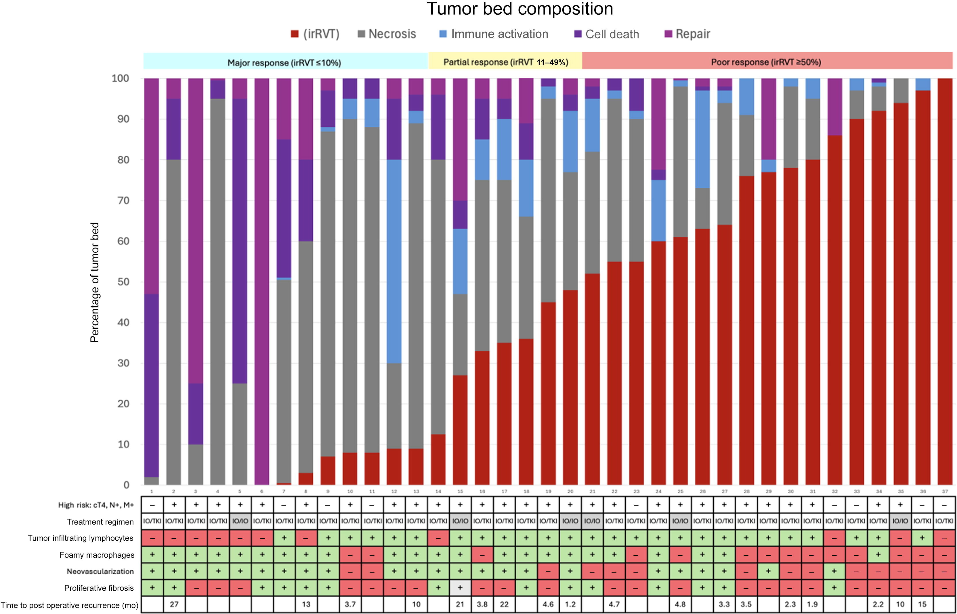 接受免疫治疗后RCC标本的肿瘤床组成、病理反应分组及个体临床特征