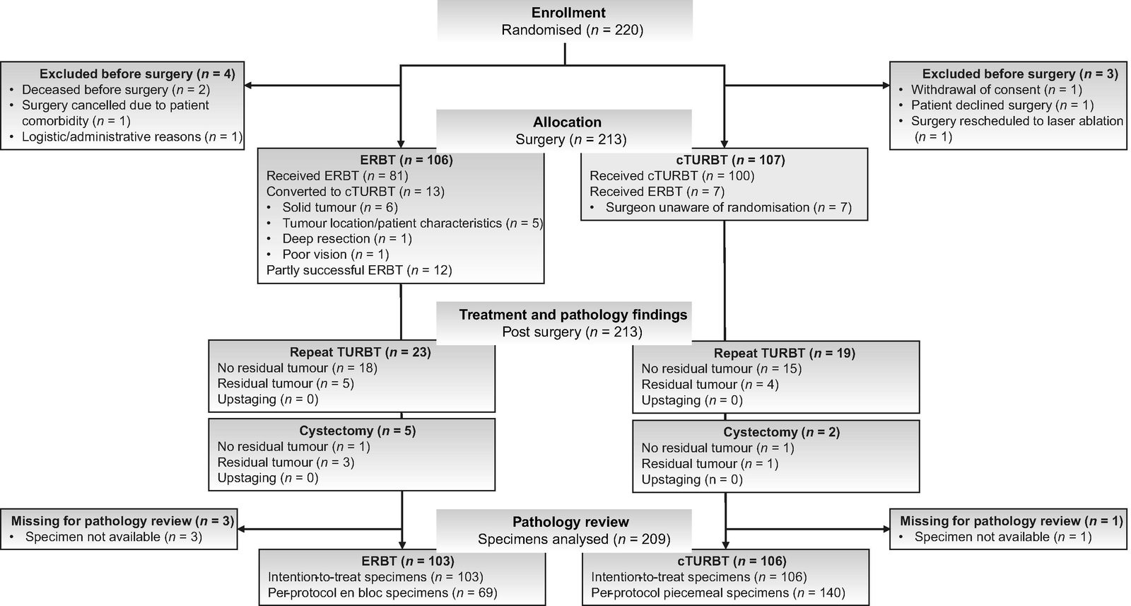 ERBT随机试验图形摘要，对应研究Histopathological Advantages of En Bloc Resection in Non-muscle-invasive Bladder Cancer: A Multinational Randomised Controlled Clinical Trial.。