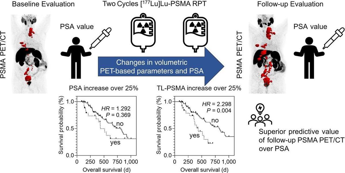 Prognostic Value of Early Follow-Up PSMA PET/CT After 2 Cycles of [177Lu]Lu-PSMA RPT in Patients with mCRPC: Comparison with PSA Dynamics.的论文原文Figure 1