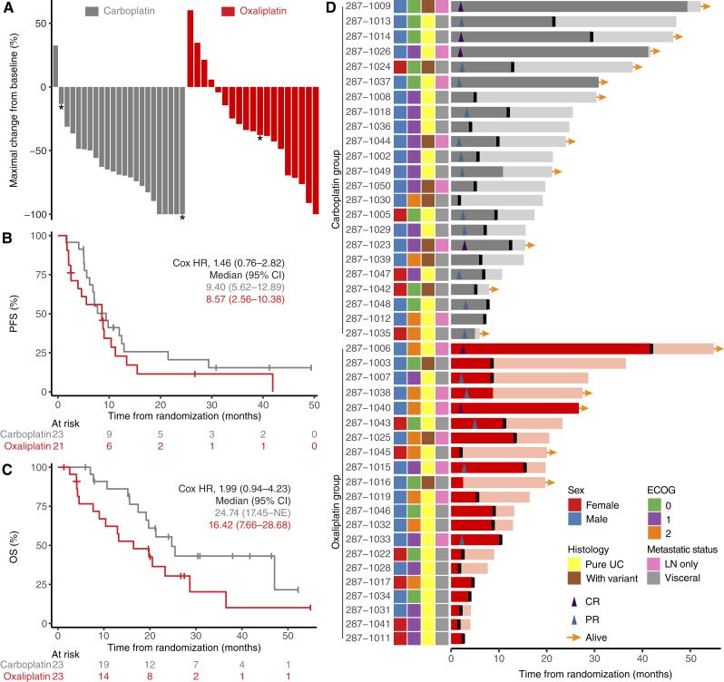 随机Ⅱ期疗效结果，对应研究Gemcitabine plus Nivolumab with Carboplatin or Oxaliplatin in Cisplatin-Ineligible Patients with Metastatic Urothelial Carcinoma: A Randomized Phase II Trial.。