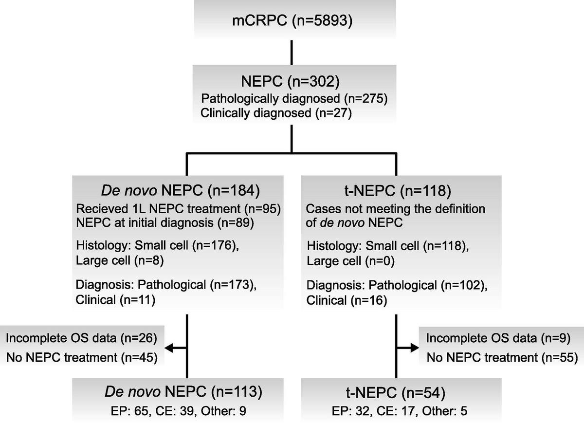 全国队列中NEPC病例筛选、de novo NEPC与t-NEPC分组及生存分析人群流程图。