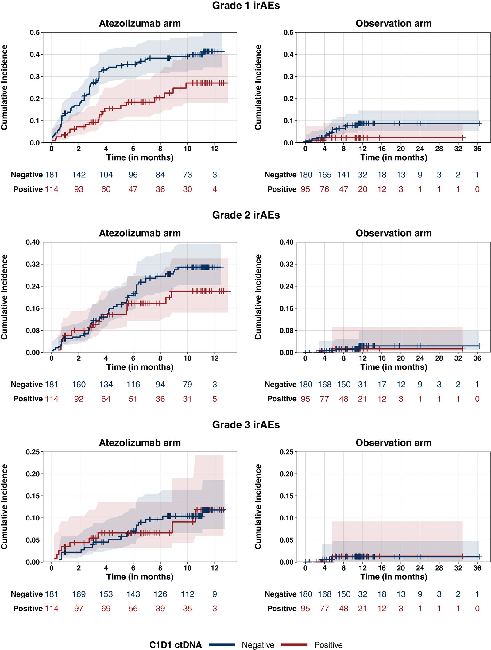 IMvigor010 ctDNA与免疫毒性图形摘要，对应研究Higher rates of immune-related adverse events in circulating tumor DNA (ctDNA)-negative patients following adjuvant checkpoint inhibitor therapy.。